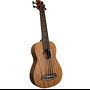 Bass Ukulele